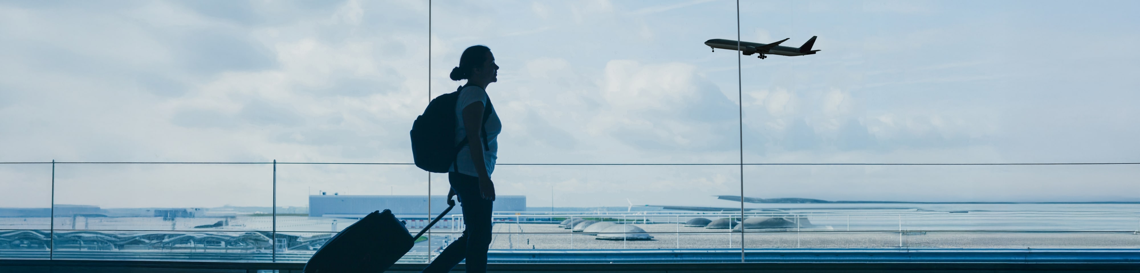 Overseas Assistance Business